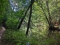 SDIM0477