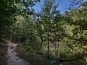 SDIM0478