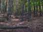 SDIM0483