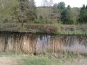 IMG_20130501_170228