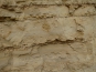 P1000464