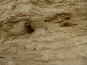 P1000471