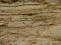 P1000474