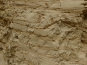 P1000475