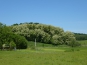 P1000547