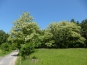 P1000549