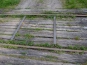 P1000699