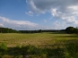 P1000710