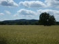 P1000912