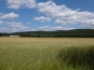 P1000966