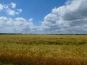 P1000983