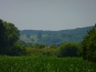 P1010173