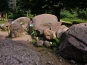 SDIM0725