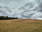 SDIM0739