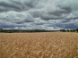 SDIM0742