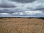 SDIM0749