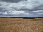 SDIM0750