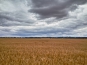 SDIM0760