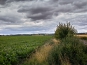 SDIM0765
