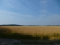 P1010786