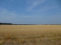 P1010789