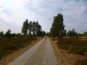 P1010969