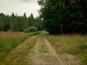 SDIM0788