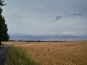 SDIM0807