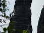 P1020422