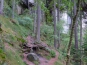 P1020482