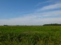 P1020878