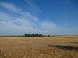 P1020885