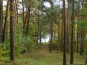P1050581