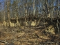 SDIM0847