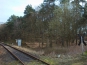 SDIM0875