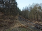SDIM0876