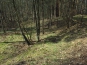 SDIM0879
