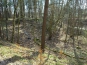 SDIM0880