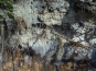 SDIM0884