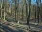 SDIM0899