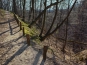 SDIM0903