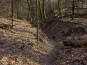 SDIM0912