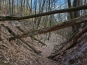 SDIM0913