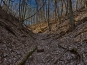 SDIM0915