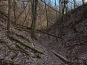 SDIM0916
