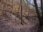 SDIM0917