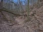 SDIM0918