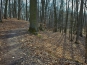 SDIM0927