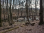 SDIM0930