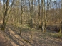 SDIM0931